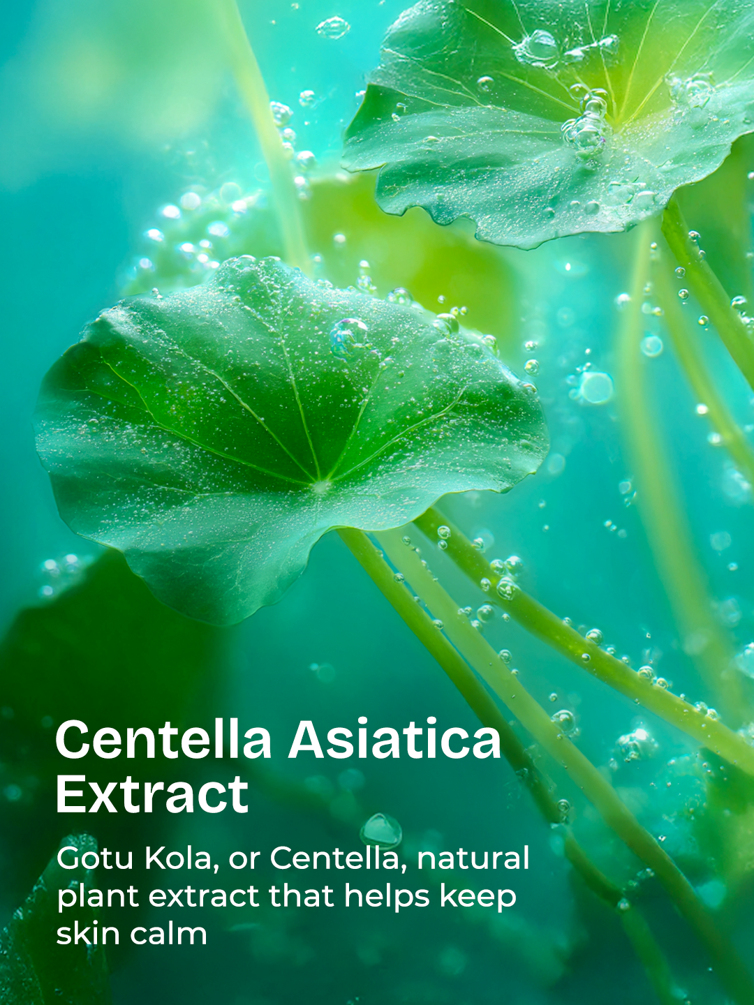 Centella HydraBright Hydration & Brightening Trio