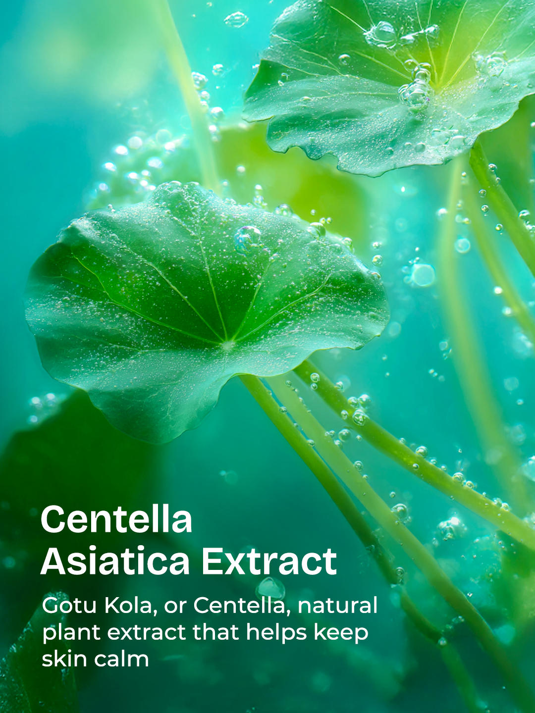 Centella HydraBright Hydration Duo