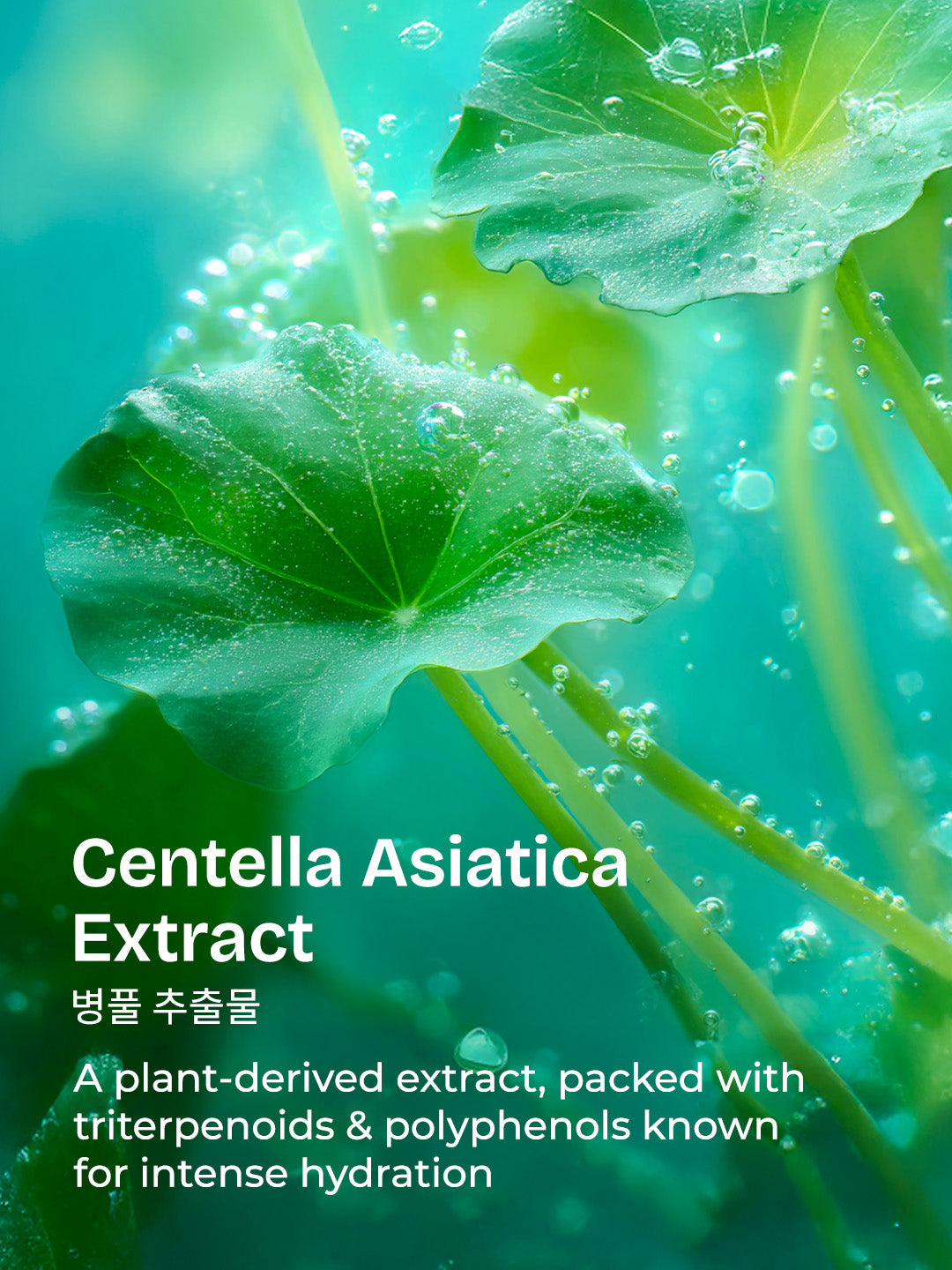 Centella HydraBright Ampoule Serum
