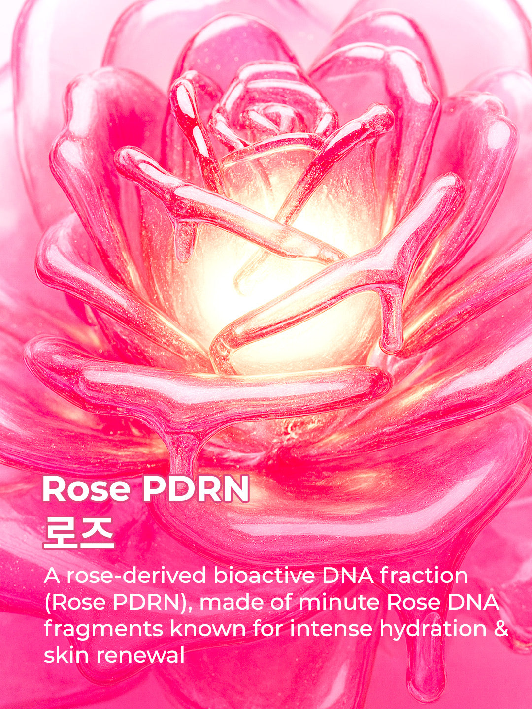 Rose PDRN Young & Fresh Boba Capsule Cream