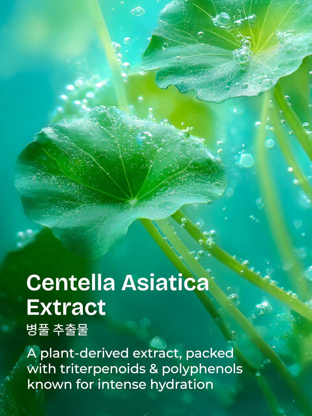 Centella HydraBright Boba Capsule Cream