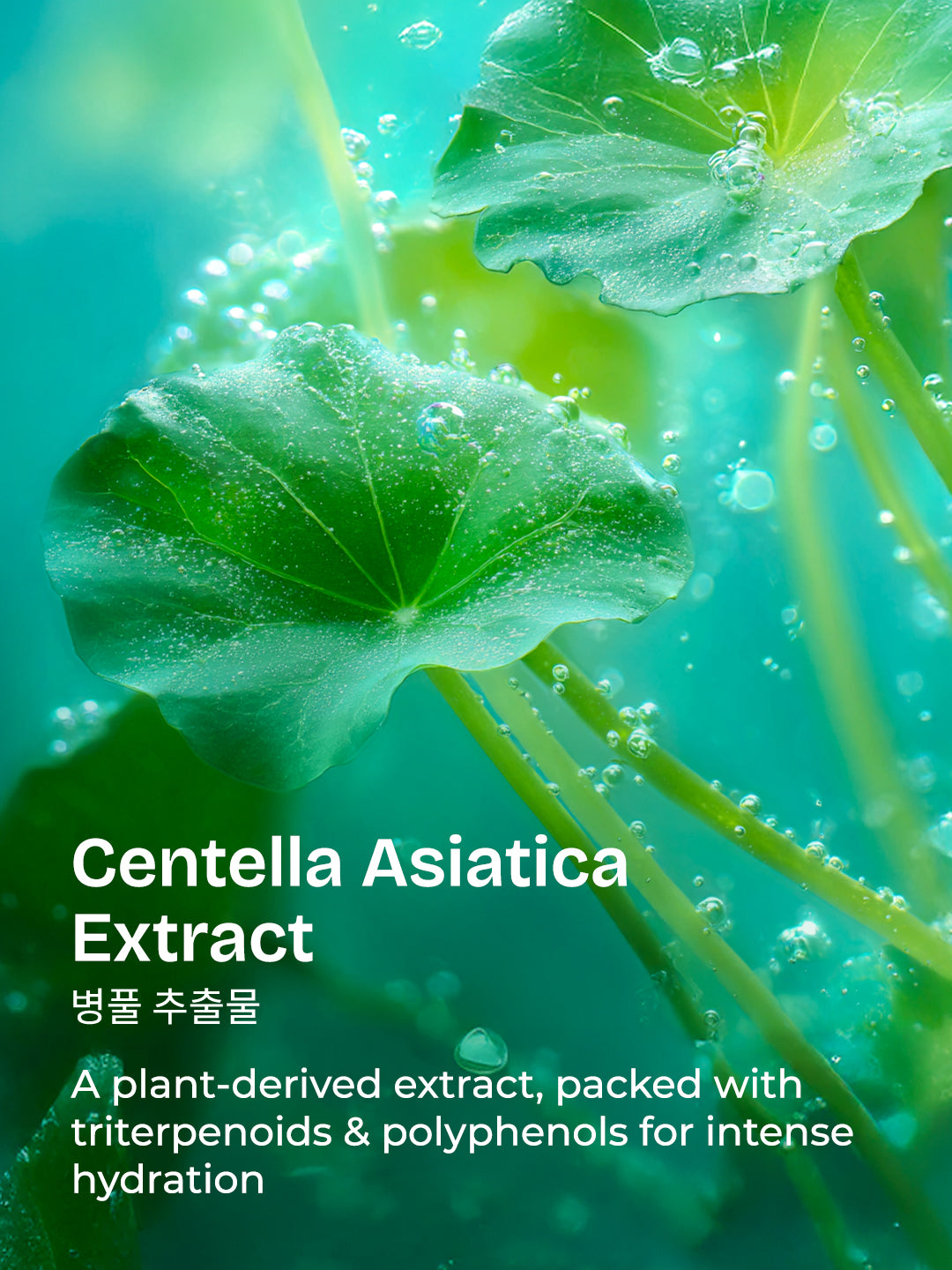 Centella HydraBright Mochi Toner