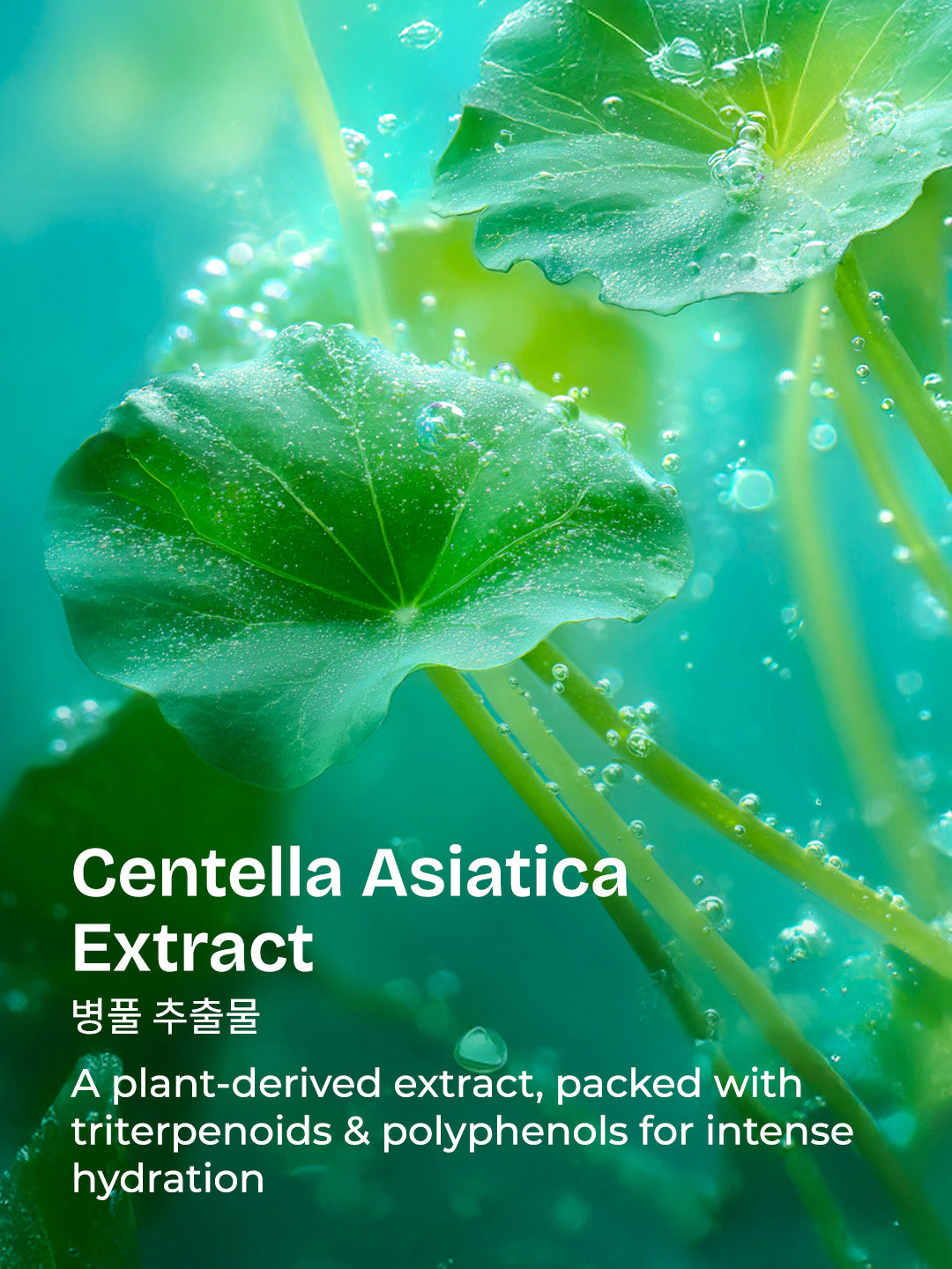 Centella HydraBright Fluid Sunscreen