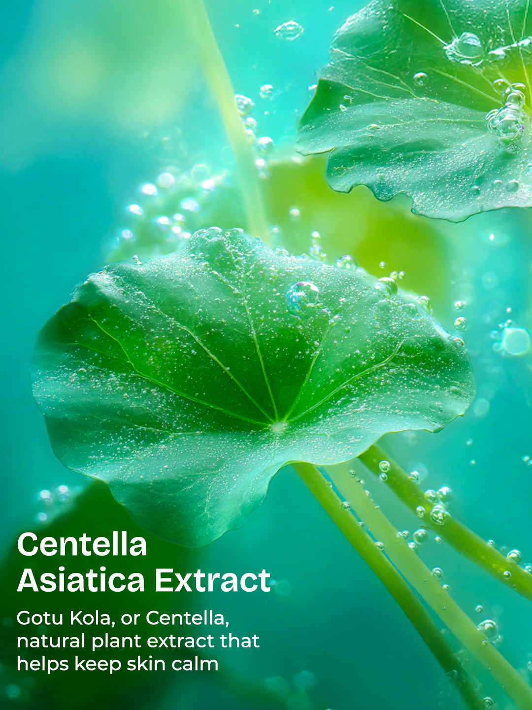 Centella Dewy Skin Routine With Whipped Cleanser, Mochi Toner, Ampoule Serum & Boba Capsule Cream