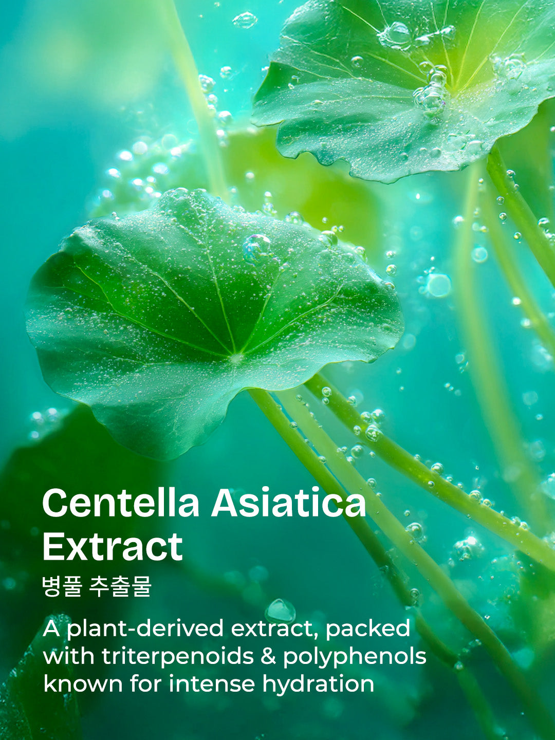 Centella HydraBright Whipped Cream Cleanser