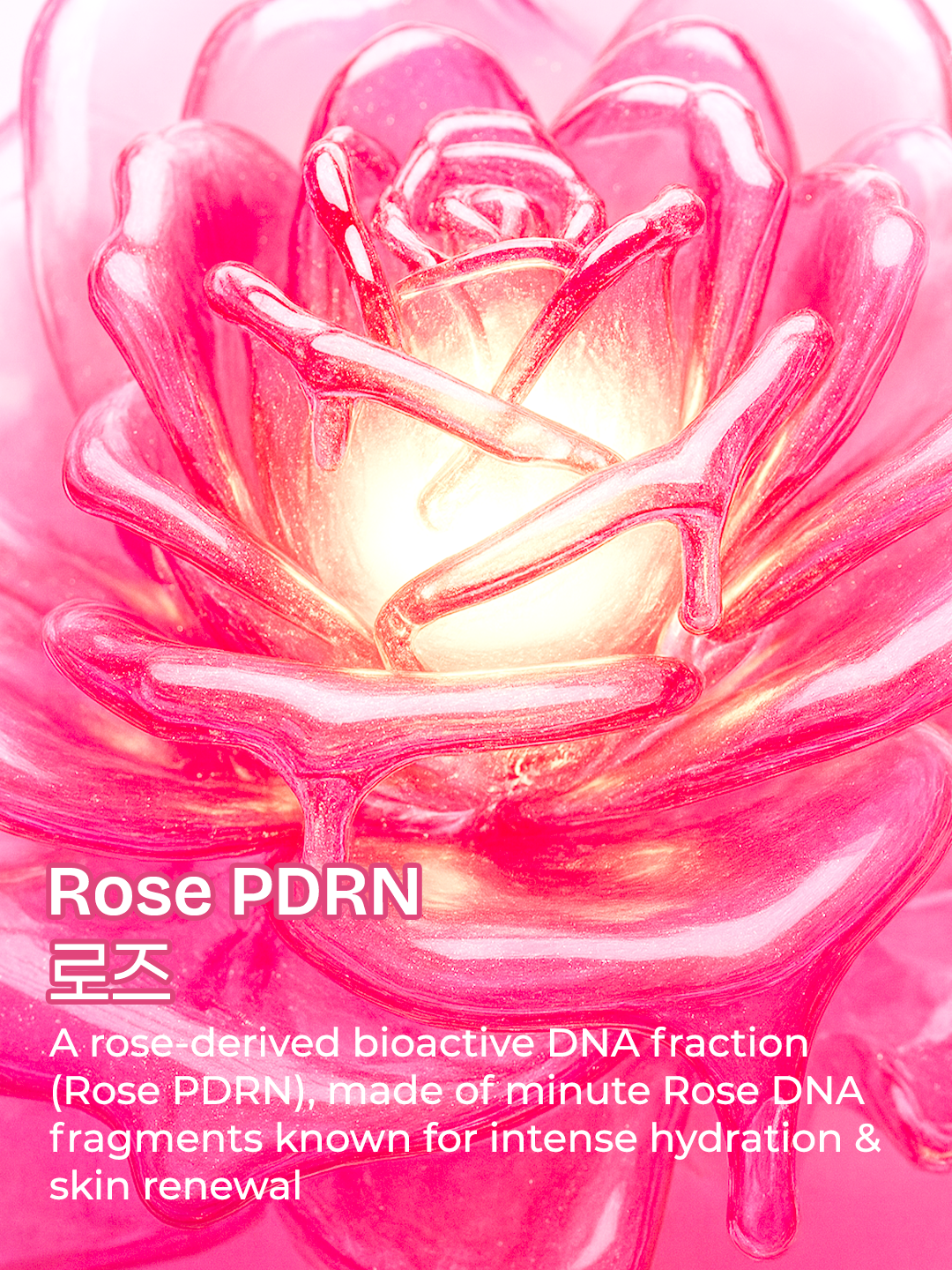 Rose PDRN Young & Fresh Vegan Mucin Essence Serum
